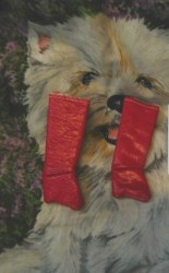 francie red leather boots view